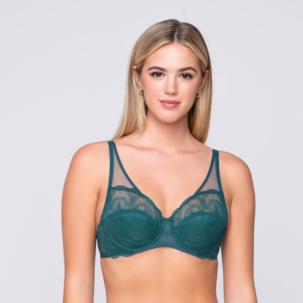 Luna Wired and Padded Bra Cup D
